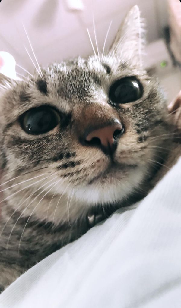☀️闆闆專區 請勿下單☀️ 