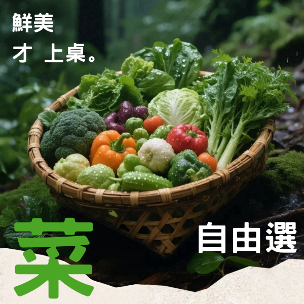 自由選綜合蔬菜箱 有機,有機蔬菜箱,有機綜合蔬菜箱,一周蔬菜箱,蔬菜箱推薦,蔬菜箱宅配,小農蔬菜箱,自由選