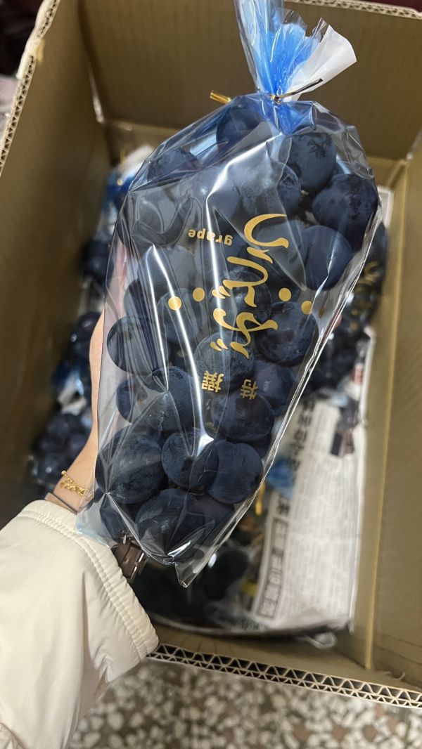 白毛台黑鑽葡萄 白毛台,白毛台葡萄,葡萄