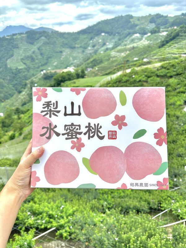 梨山上海水蜜桃-6粒裝 梨山上海水蜜桃 產地直送 新鮮現採