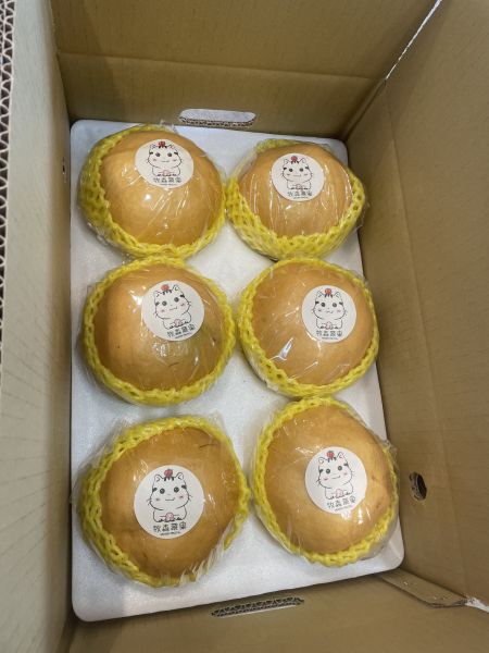 預購-梨山甘露梨（超多汁又甜） 梨山甘露 多汁甘蔗味濃厚 梨山蔬果武陵農場