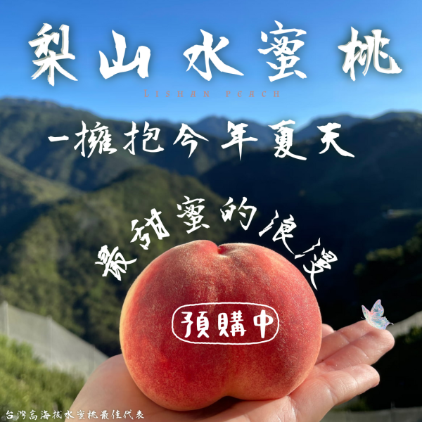 梨山上海水蜜桃-6粒裝 梨山上海水蜜桃 產地直送 新鮮現採