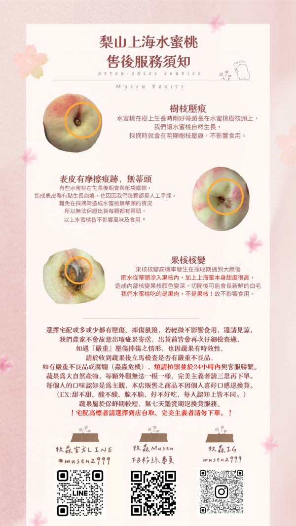 梨山上海水蜜桃-6粒裝 梨山上海水蜜桃 產地直送 新鮮現採