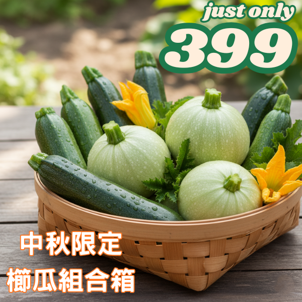中秋限定櫛瓜組合箱(圓櫛瓜1kg+櫛瓜1kg) 有機櫛瓜,櫛瓜,圓櫛瓜,高山櫛瓜,高山有機櫛瓜,櫛瓜哪裡買,小農櫛瓜,櫛瓜箱,西葫蘆,節瓜