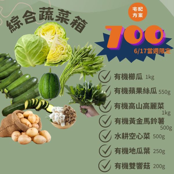 有機綜合蔬菜箱(6/17-6/19限定) 