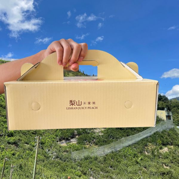 梨山上海水蜜桃-6粒裝 梨山上海水蜜桃 產地直送 新鮮現採