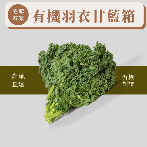 有機羽衣甘藍箱(宅配活動) 
