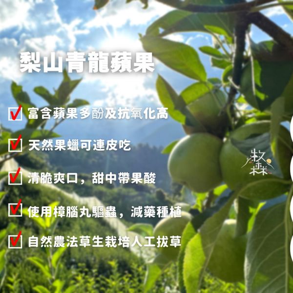 梨山青龍蘋果 梨山青龍蘋果