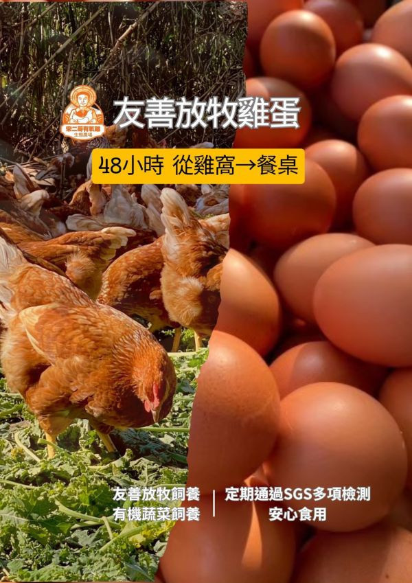 友善放牧雞蛋-90粒裝饕客箱 友善放牧雞蛋 有機蔬菜 有機蔬菜農藥 有機蔬菜認證 有機蔬菜網購 有機蔬菜宅配 有機蔬菜哪裡買 小農蔬菜 小農蔬菜箱 小農蔬菜宅配 放牧雞 放牧蛋推薦 友善放牧雞蛋 友善飼養