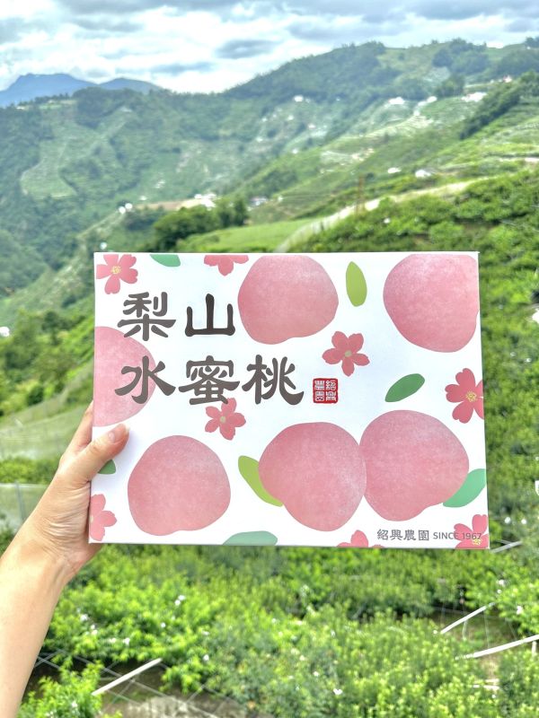 梨山上海水蜜桃-10粒裝 梨山上海水蜜桃 產地直送 新鮮現採