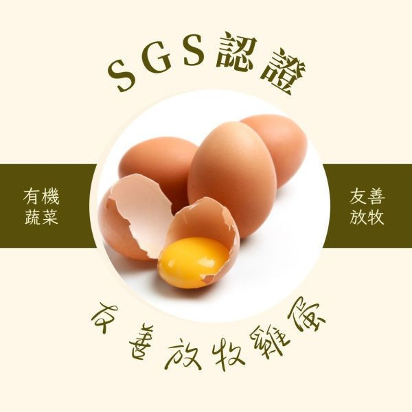 友善放牧雞蛋-90粒裝饕客箱 友善放牧雞蛋 有機蔬菜 有機蔬菜農藥 有機蔬菜認證 有機蔬菜網購 有機蔬菜宅配 有機蔬菜哪裡買 小農蔬菜 小農蔬菜箱 小農蔬菜宅配 放牧雞 放牧蛋推薦 友善放牧雞蛋 友善飼養
