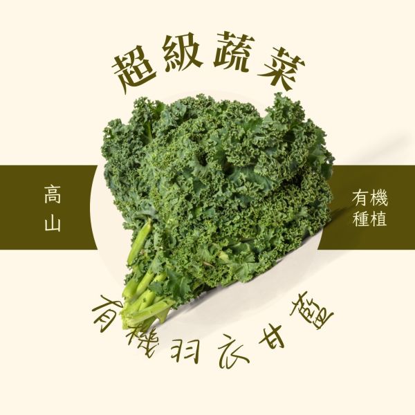 有機羽衣甘藍箱(宅配活動) 
