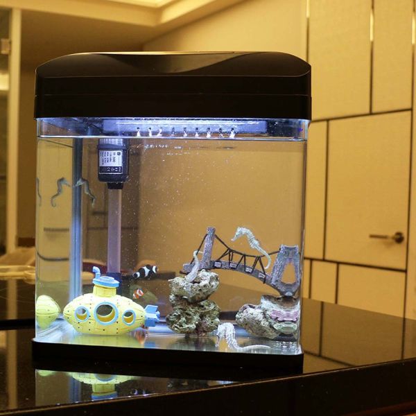 小丑魚缸套組 海馬飼養、養海馬價格、海馬吃什麼、海馬壽命