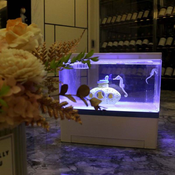 5公升小丑魚缸套組 養海馬價格、養海馬、養海馬ptt、海馬壽命