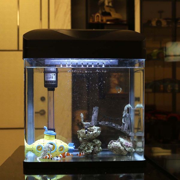 限量尼莫＆海馬生態套組優惠 海馬飼養、養海馬價格、海馬吃什麼、海馬壽命