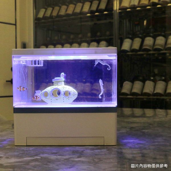 5公升海馬缸套組 養海馬價格、養海馬、養海馬ptt、海馬壽命