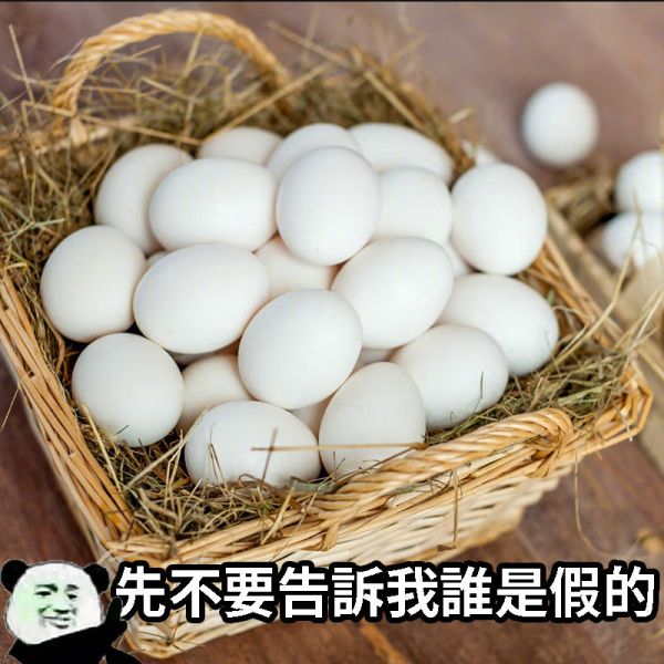 假雞蛋 整人玩具 整人道具 海綿雞蛋 雞蛋魔術 整人雞蛋 舞台魔術  舞臺魔術道具