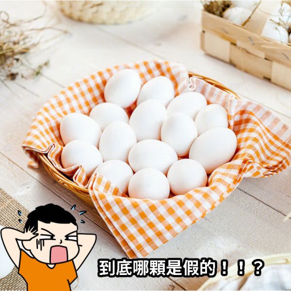 假雞蛋 整人玩具 整人道具 海綿雞蛋 雞蛋魔術 整人雞蛋 舞台魔術  舞臺魔術道具