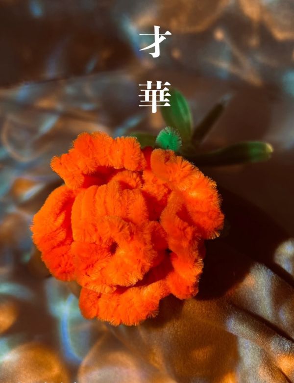 能量玫瑰花 