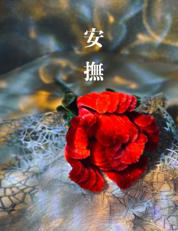 能量玫瑰花 