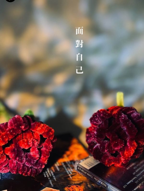 能量玫瑰花 
