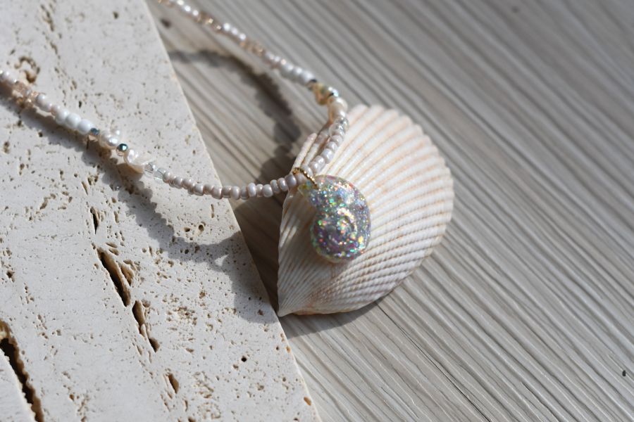The shells 