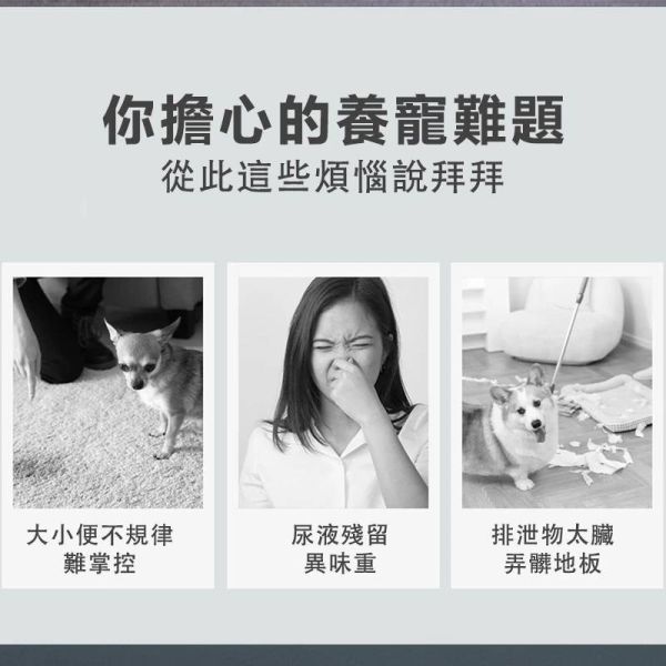 犬廁所 