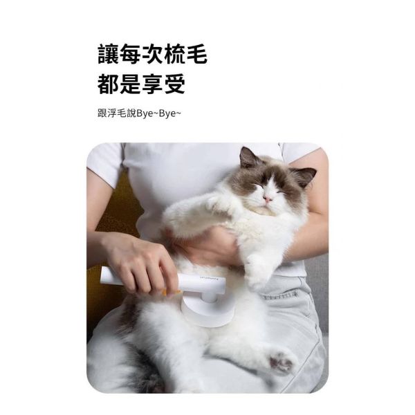 寵物去毛針梳 