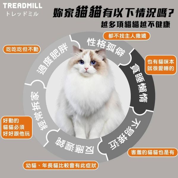 貓咪跑步機 