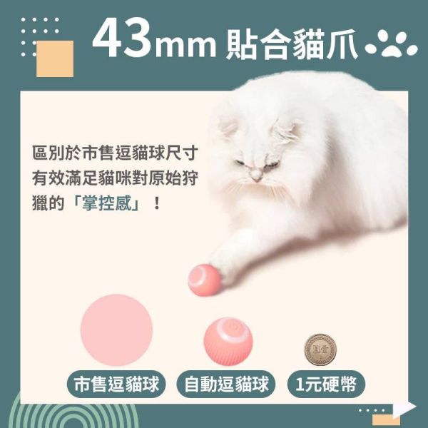 智能逗貓球 
