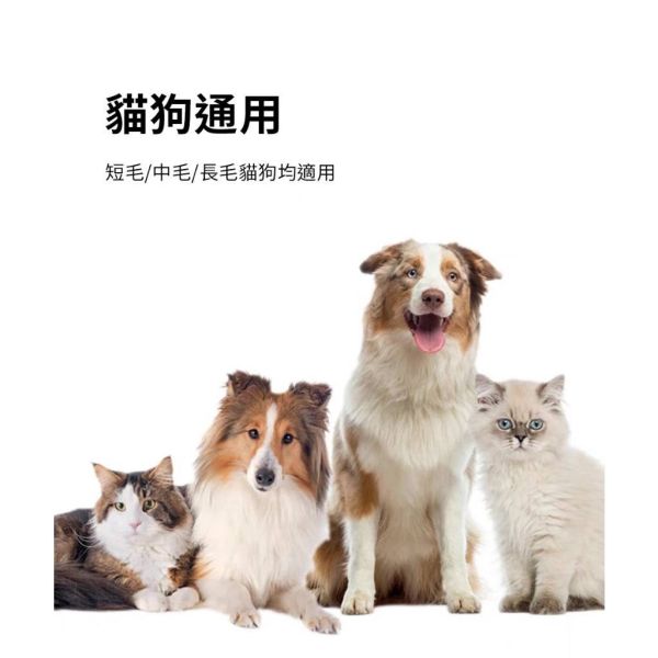 寵物去毛針梳 