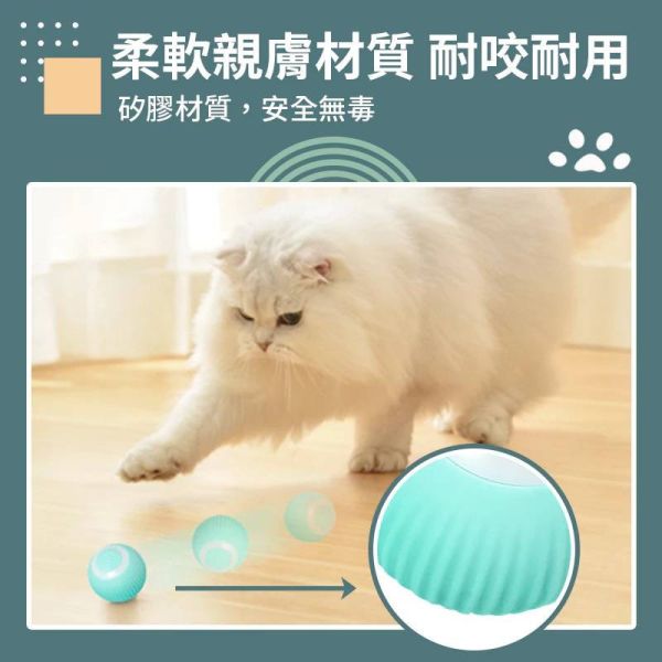 智能逗貓球 