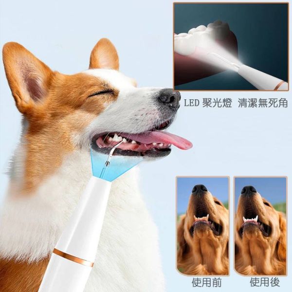 超聲波潔牙器 