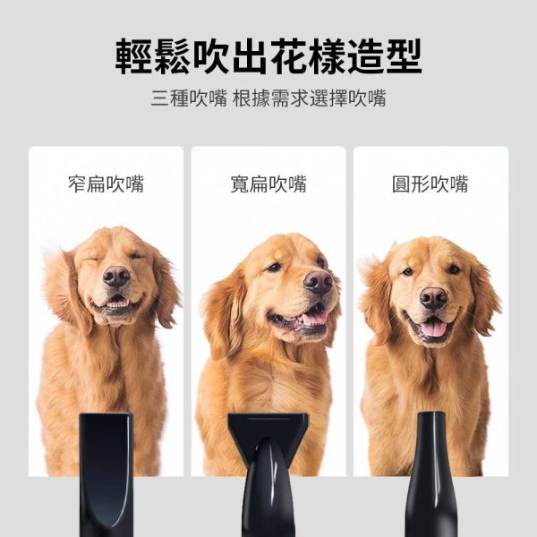 寵物專用吹水機 