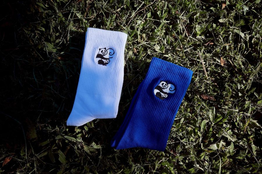 【現貨】電波訂製筋斗雲熊貓造型刺繡小圖素色長襪(藍色) 