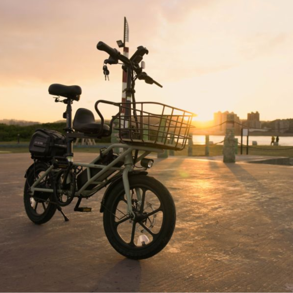 CyberCycle小羚羊【載貨力強】16吋軍事復古風格入門電輔車 
