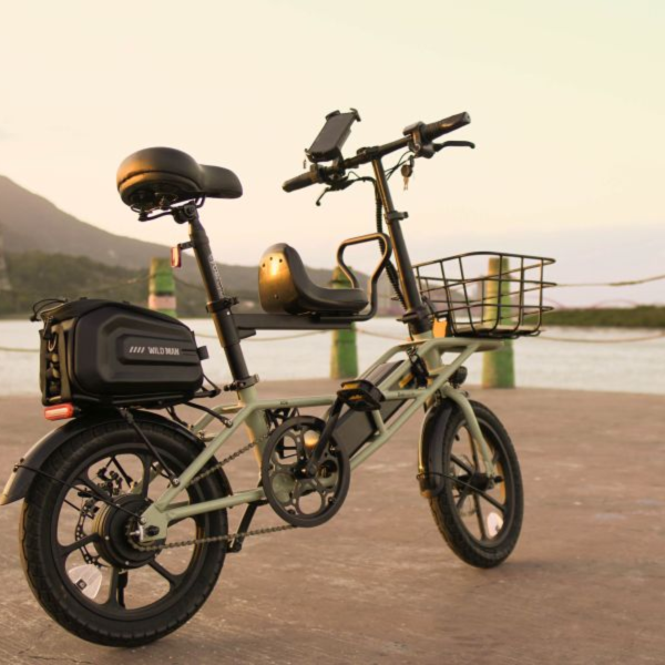 CyberCycle小羚羊【載貨力強】16吋軍事復古風格入門電輔車 