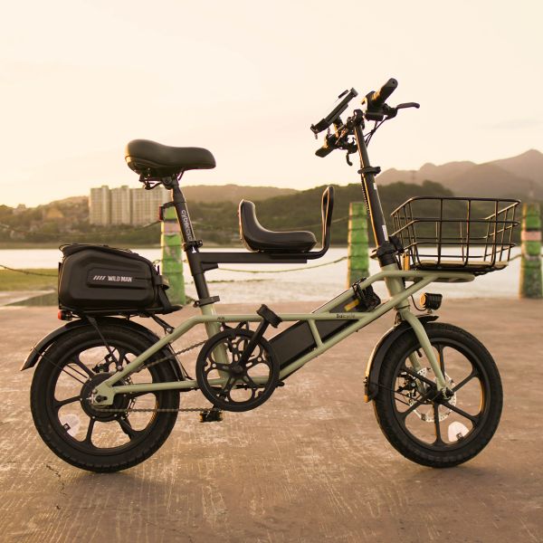 CyberCycle小羚羊【載貨力強】16吋軍事復古風格入門電輔車 