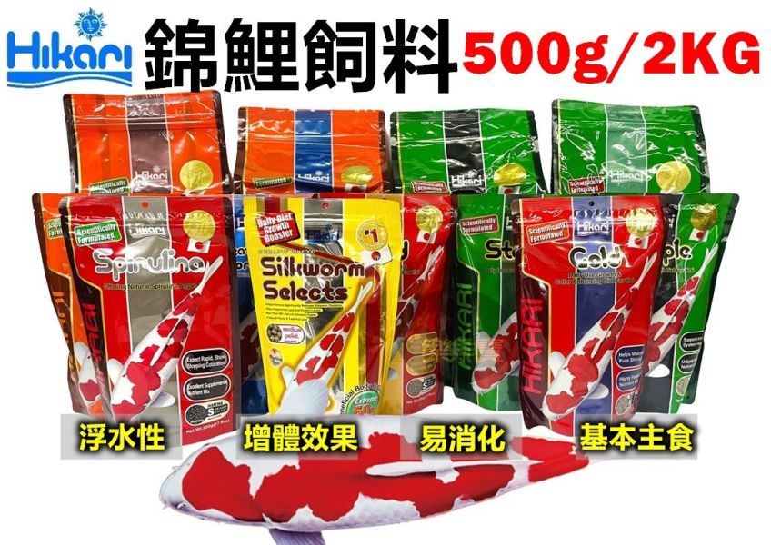 Hikari 高夠力 錦鯉飼料 胚芽 主食 錦鯉金 螺旋藻 錦鯉蠶蛹飼料 鯉魚飼料 龍鯉 (浮水性) 