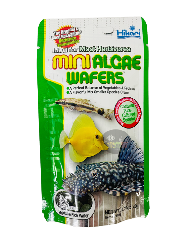 Hikari 高夠力  異型飼料 底棲飼料 異形飼料 沉水性 底棲魚 
