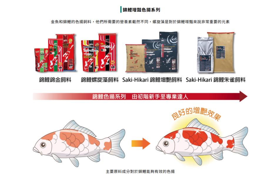 Hikari 高夠力 錦鯉飼料 胚芽 主食 錦鯉金 螺旋藻 錦鯉蠶蛹飼料 鯉魚飼料 龍鯉 (浮水性) 