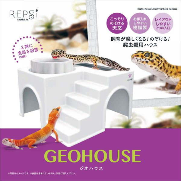 日本 Marukan 蜥蜴守宮專用豪華屋 GEOHOUSE 