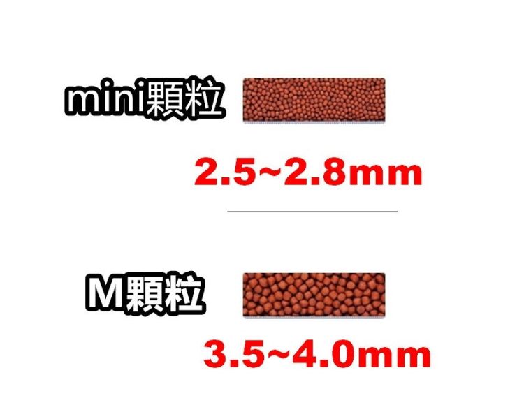 Hikari 高夠力 血鸚鵡色揚飼料 Mini M 333g 600g 增艷 增豔飼料 財神魚 金剛鸚鵡 