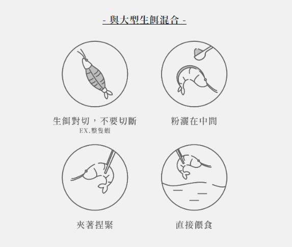EM進化製造所 水族專用保健系列 綜合維生素 螺旋藻精華 魚源乳酸菌 35g/125g 益魚元 健魚元 漾魚元 