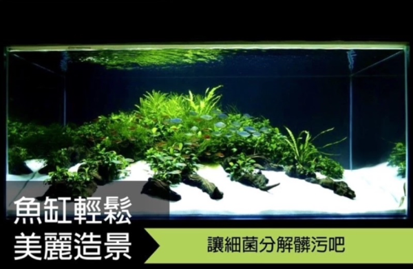 八百萬神 NO3 特級培菌沙 5KG 