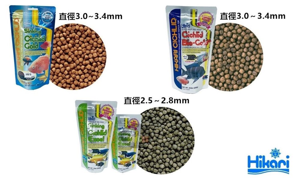 Hikari 高夠力 慈鯛善玉菌飼料 Mini M顆粒 色揚飼料 增豔 益生菌 慈鯛增艷 浮水/沉水性 