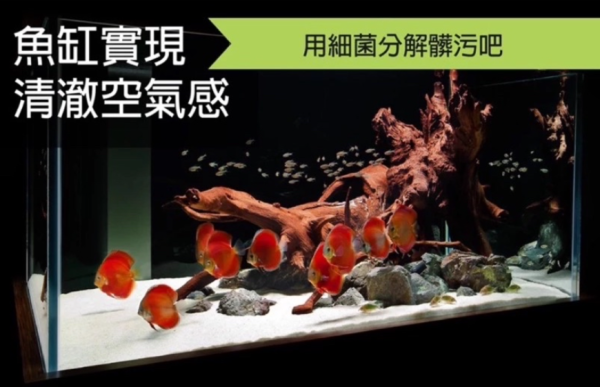 八百萬神 NO3 特級培菌沙 5KG 