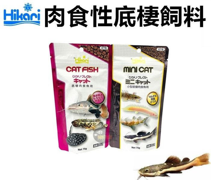 日本 Hikari 高夠力 肉食性底棲魚飼料 小型底棲肉食 鴨嘴 鯰科 恐龍 沉底飼料 