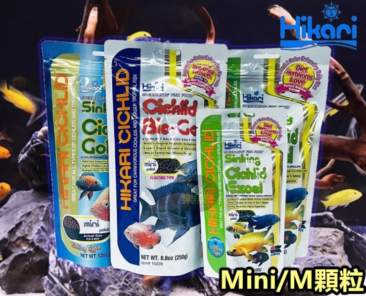 Hikari 高夠力 慈鯛善玉菌飼料 Mini M顆粒 色揚飼料 增豔 益生菌 慈鯛增艷 浮水/沉水性 