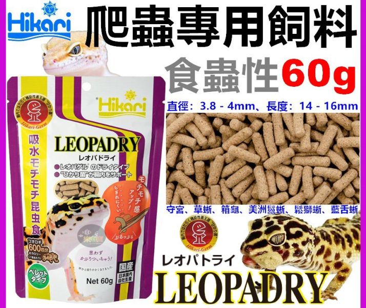 Hikari 高夠力 爬蟲專用顆粒飼料 食蟲性 60g 守宮飼料 豹紋守宮 日本草蜥 箱龜 鬆獅蜥 睫角 